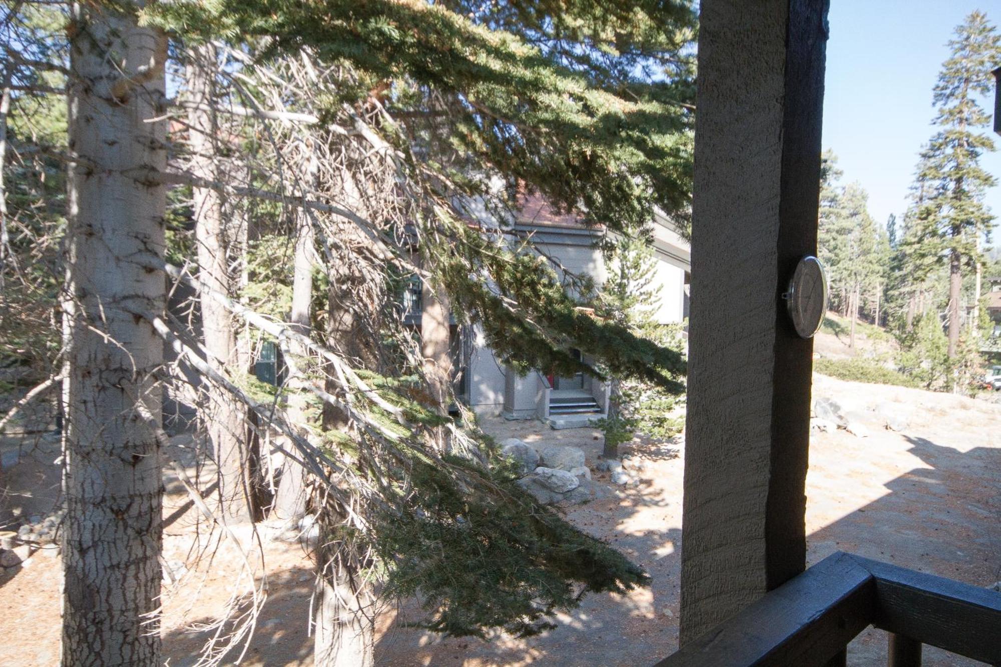 Chamonix #36 Villa Mammoth Lakes Esterno foto